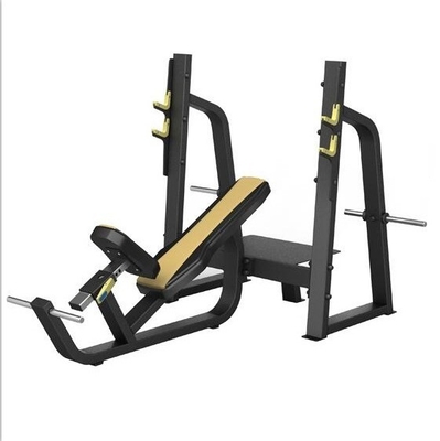 Commercial Befreeman Gym équipement de remise en forme banc d'entraînement avec poids banc d'inclinaison réglable