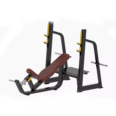 Commercial Befreeman Gym équipement de remise en forme banc d'entraînement avec poids banc d'inclinaison réglable