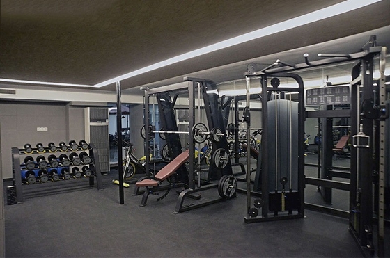 1300*2010*2110mm Cable crossover équipement de gym unisexe pour la formation multifonctionnelle
