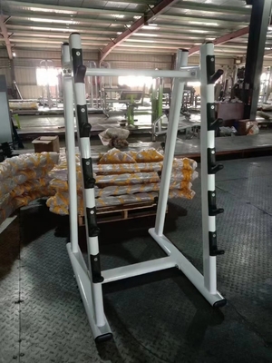 Appareils de gymnastique accessoire Befreeman Rack à barbelles verticales en acier pour chargeurs moyens