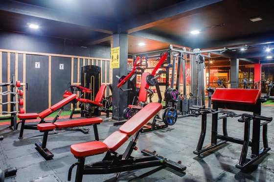 Appareil pliable pour les exercices de levage de poids