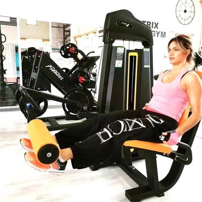 Life Fitness équipement de gymnastique commercial sélection de la charge de broche Extension de jambe/machine de remontage