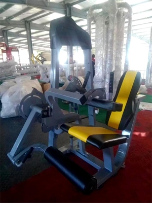 Life Fitness équipement de gymnastique commercial sélection de la charge de broche Extension de jambe/machine de remontage