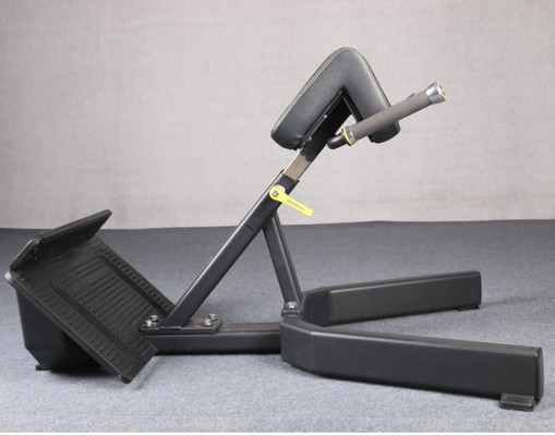 Exercice en intérieur Extension musculaire du dos Chaise romaine Banquette machine pour l' entraînement physique