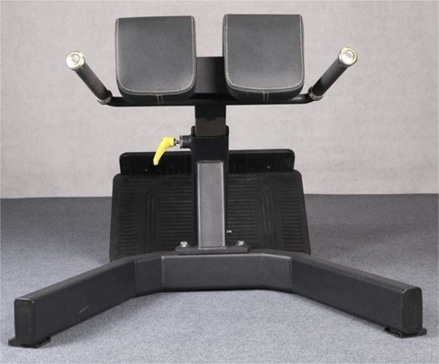 Exercice en intérieur Extension musculaire du dos Chaise romaine Banquette machine pour l' entraînement physique