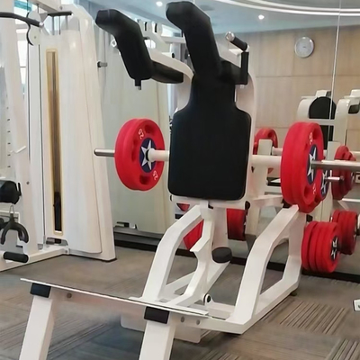 La machine de squat à jambes d'acier pour l'entraînement en force et l'excellence en musculation