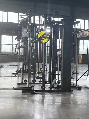 Construction de câble en acier croisé de cage d'alimentation pour l'entraînement de gym multi-fonctionnelle