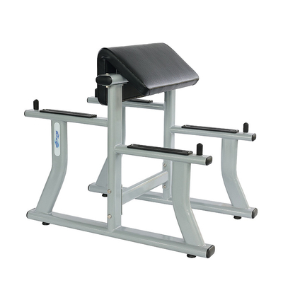 Logo personnalisé Scott Rack banc d'entraînement pour Pullup Rack Scott Setup Plus Heat Squad