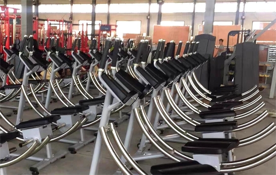 Sélection de la charge des broches Machine abdominale Equipement de gymnastique pour l'entraînement de force unisexe