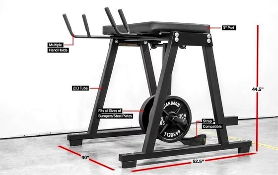 Équipement d'exercice musculaire pour jambes personnalisé 2200*1500*2250mm