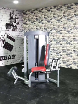 3.0mm Tube Force Training Machine de levage de veau assise à l'intérieur avec sélection de charge de broche