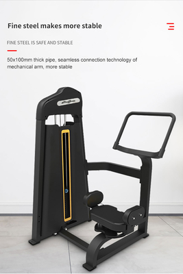 Equipement de fitness professionnel Torse rotatif intérieur pour la musculation