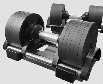 Entraînement de force Essentiel Dumbbell réglable Befreeman 36kg pour le centre de gym