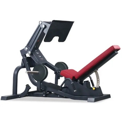 Machine de pressage à 45 degrés de haute capacité équipement de remise en forme commercial 220 kg