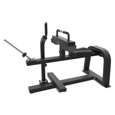 Appareils de remise en forme pour gymnastique commerciale, machine de levage de veau assise avec logo personnalisé disponible