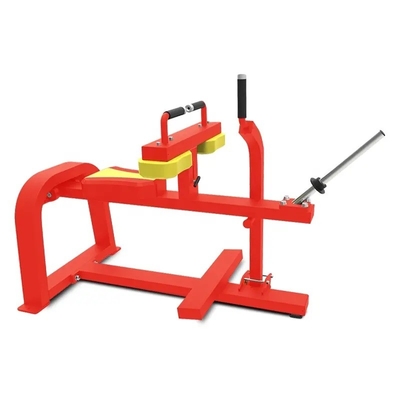 Appareils de remise en forme pour gymnastique commerciale, machine de levage de veau assise avec logo personnalisé disponible