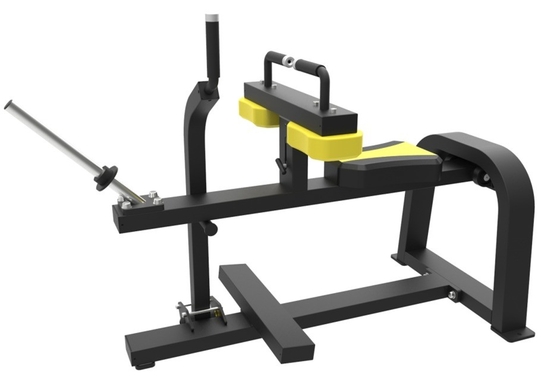 Appareils de remise en forme pour gymnastique commerciale, machine de levage de veau assise avec logo personnalisé disponible