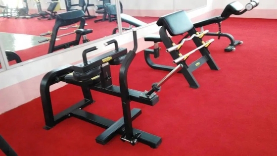 Appareils de remise en forme pour gymnastique commerciale, machine de levage de veau assise avec logo personnalisé disponible