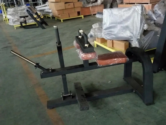 Appareils de remise en forme pour gymnastique commerciale, machine de levage de veau assise avec logo personnalisé disponible