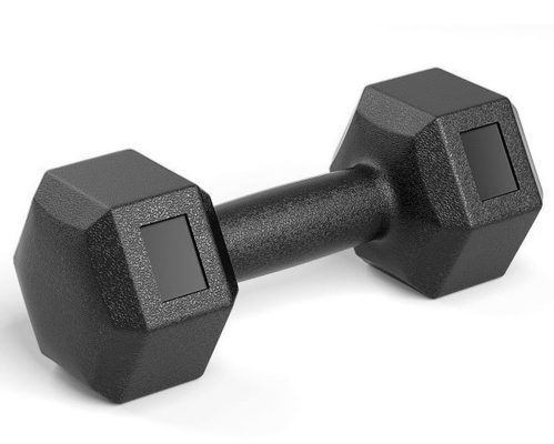 Logo personnalisé Commercial Free Weight Training Dumbbell Fitness pour le culturisme