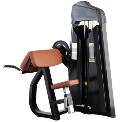 Equipement de remise en forme de gymnase professionnel Machine à bicep assise pour l'entraînement en force