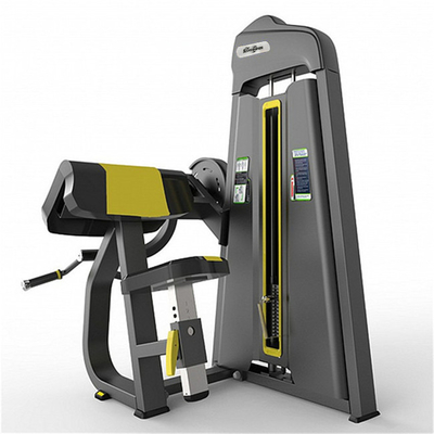 Equipement de remise en forme de gymnase professionnel Machine à bicep assise pour l'entraînement en force