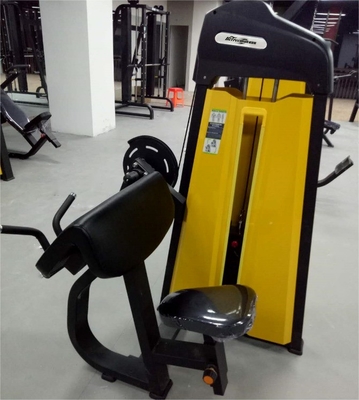 Equipement de remise en forme de gymnase professionnel Machine à bicep assise pour l'entraînement en force