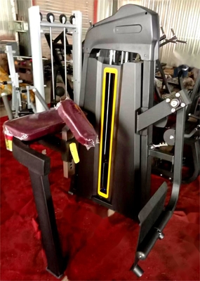 Equipement de remise en forme de gymnase professionnel Machine à bicep assise pour l'entraînement en force