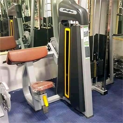 Equipement de remise en forme de gymnase professionnel Machine à bicep assise pour l'entraînement en force