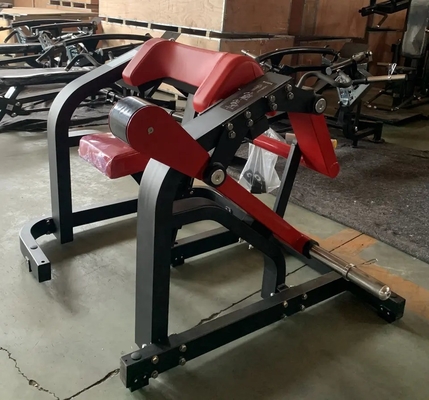 Appareil de remise en forme de bicep assis avec option personnalisée
