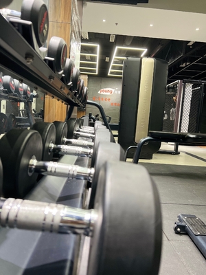Équipement de gymnastique de levage de poids en acier sans acier Dumbbell en caoutchouc revêtu pour unisexe 5-25 kg