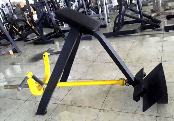 Equipement de gymnastique commercial T Bar Row Plaque chargée