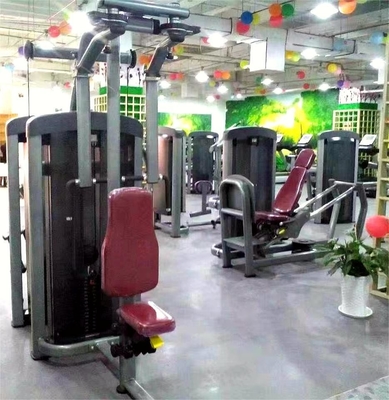 Equipement de gymnastique commercial Traîneur multifonctionnel pour la pression thoracique et l' extension du dos