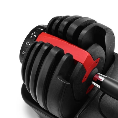 Gymnase commercial Entraînement avec des poids libres Dumbbells réglables en option Couleur du cadre sélectionnable