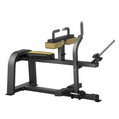 Sélection de la machine de gymnastique chargée pour l'entraînement en force au centre de gymnastique commercial