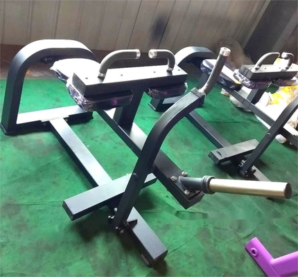 Sélection de la machine de gymnastique chargée pour l'entraînement en force au centre de gymnastique commercial