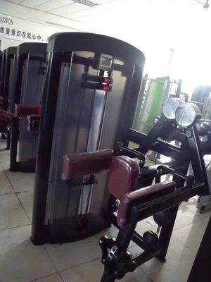 L'entraînement des biceps à domicile a été rendu plus facile grâce à une machine d'exercice de levage latéral assis