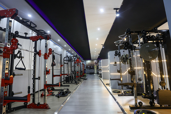 Centre de gymnastique Cadre Couleur optionnelle Sélectionnable menton plonger jambe soulever l' exercice de remise en forme machine