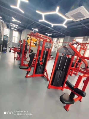 Machine d'extension à dos assis en acier pour l'entraînement en force