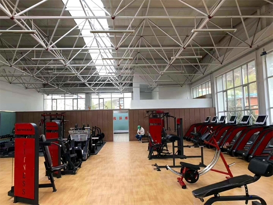 Machine d'extension à dos assis en acier pour l'entraînement en force