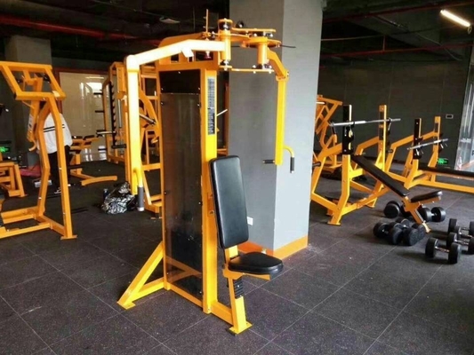 Machine d'extension à dos assis en acier pour l'entraînement en force