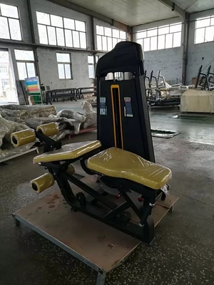 Equipement de gymnastique pour entraînement multijoueur Machine de chargement de broches commerciale 2 en 1 Extension de jambe assise Machine de curling des jambes