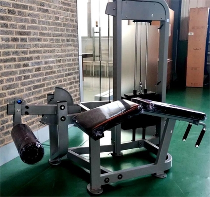 Pièces de poids, épingles chargées, machine à courir les jambes et à étirer pour l'entraînement en force.