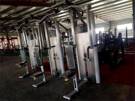 2020 Design commercial arrière Delt Pec machine à mouche avec la couleur du cadre sélectionnable en option
