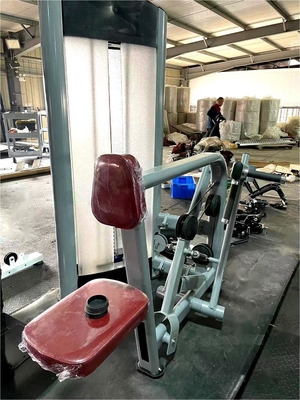 Machine à ramer à siège en acier pour les exercices commerciaux du dos de l'épaule dans le gymnase et le fitness
