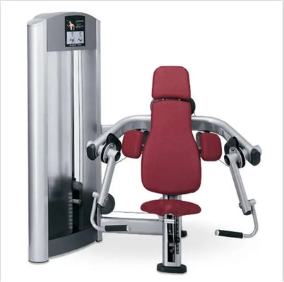 Équipement de gymnastique commercial Meilleure machine à boucles de biceps avec logo personnalisé disponible
