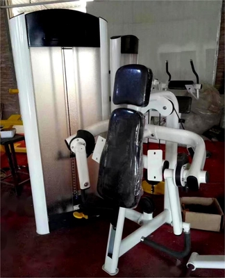 Équipement de gymnastique commercial Meilleure machine à boucles de biceps avec logo personnalisé disponible