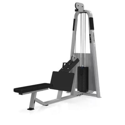 Machine à basse rangée pour épaules et dos définis