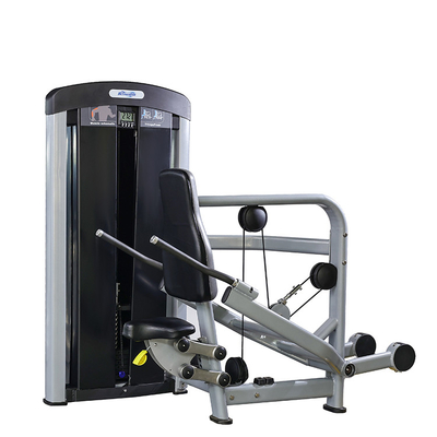 Un chargeur moyen, un équipement de gymnastique, une machine à pousser les tricepes de Befreeman.