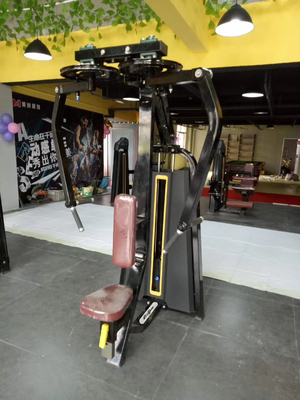 Logo personnalisé disponible équipement de gym Pec Fly Pearl Delt Machine pour dans le centre de gym
